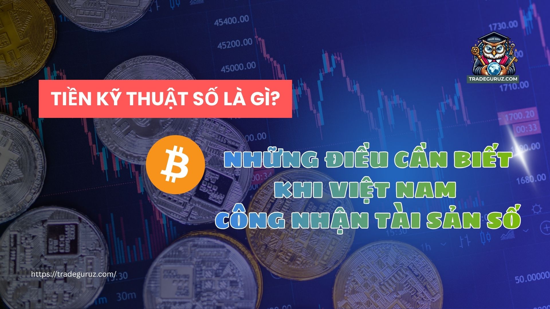 blog-image